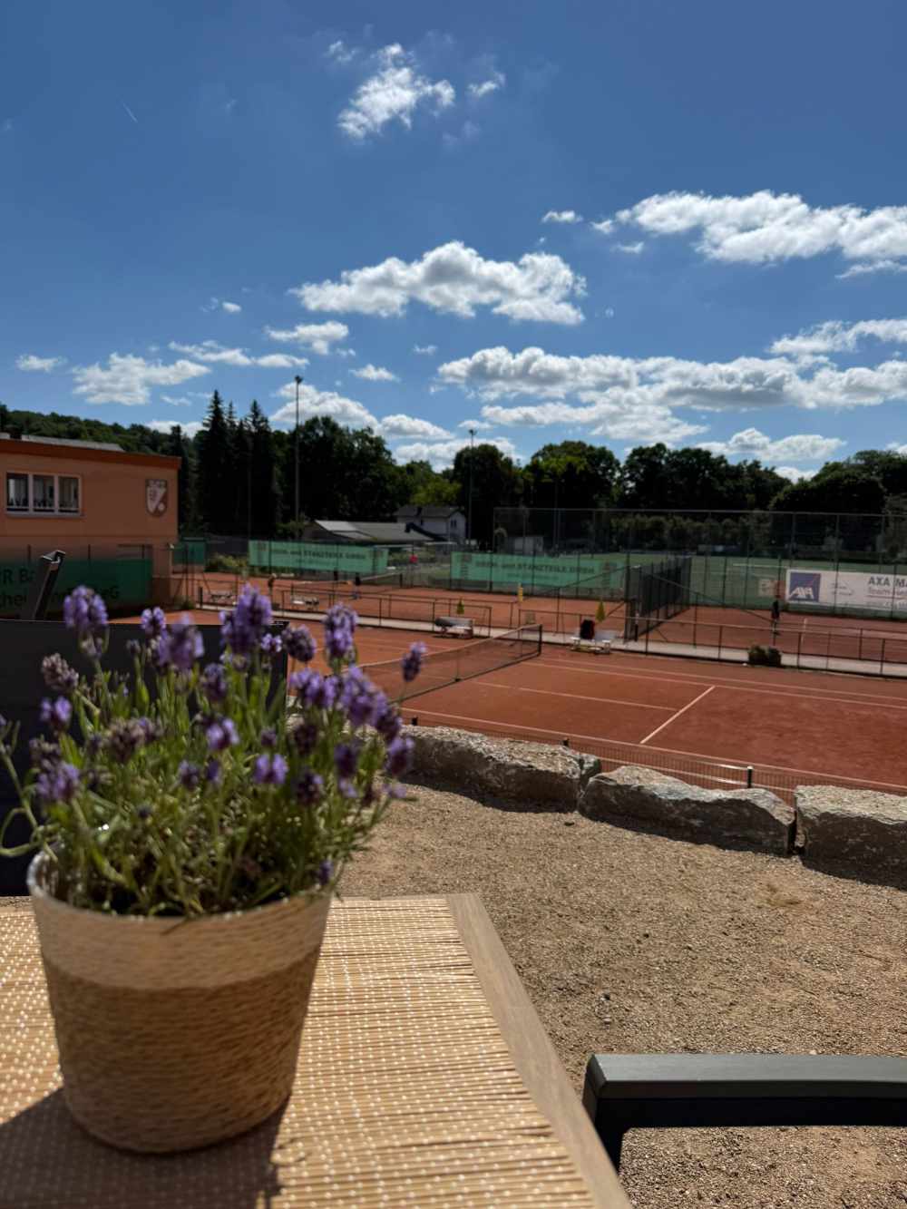 Tennisanlage im Sonnenschein mit Blumenstrauss im Vordergrund